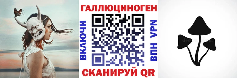 магазин    Снежинск  Галлюциногенные грибы Cubensis 